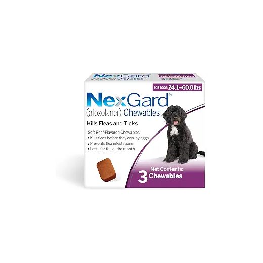 NexGard Chewables for Dogs 24-60 lb, 3 ct
