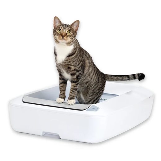 PetSafe ScoopFree Self-Cleaning Litter Box