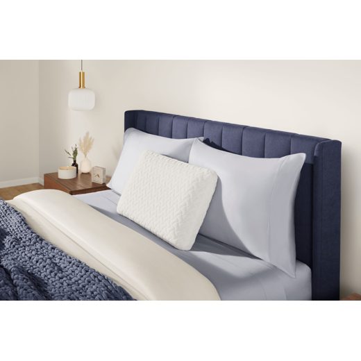 Tempur-Pedic TEMPUR-Cloud Pillow, Queen